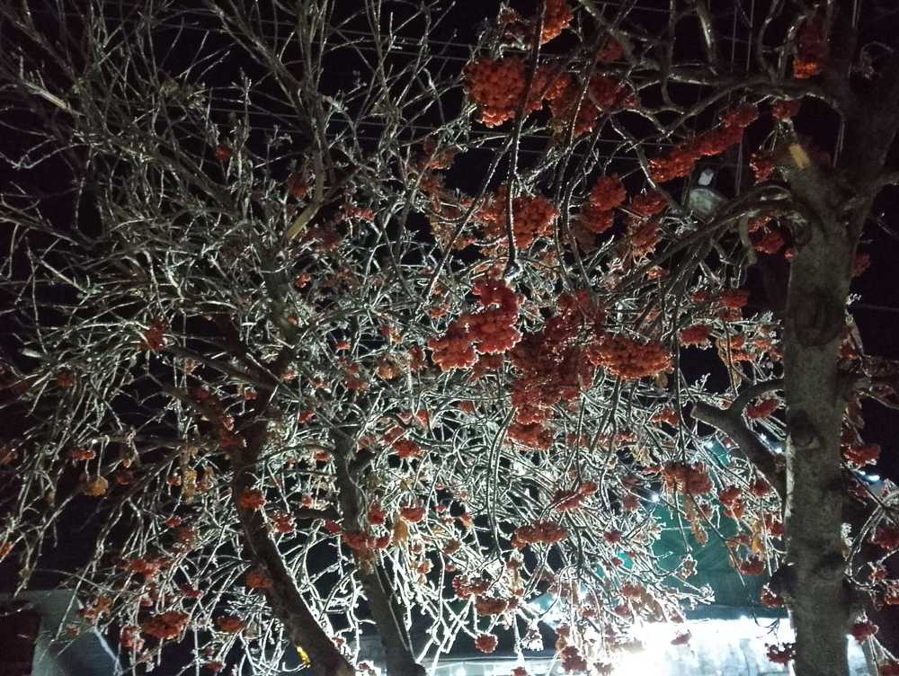 Фотография автора Гольназ