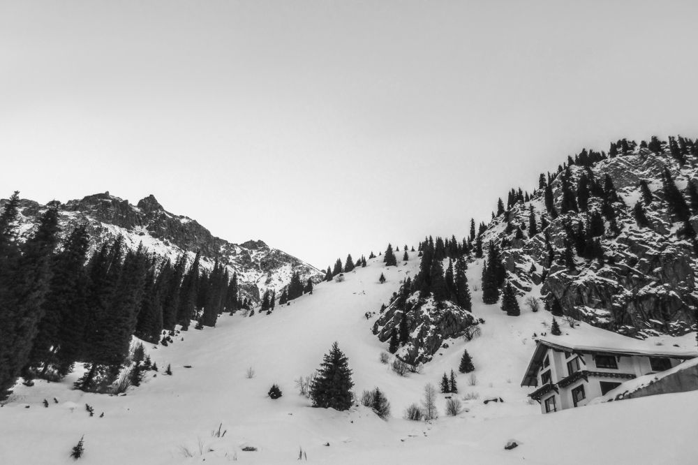 Photograph by Алексей Оборин