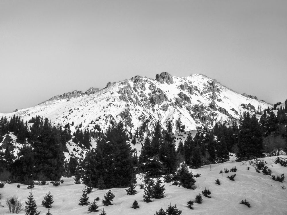 Photograph by Алексей Оборин