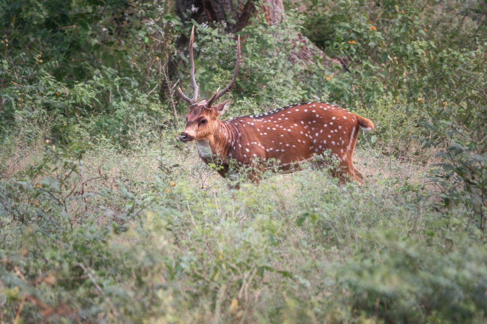 Photograph by Дудников Александр