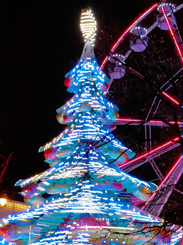 Photograph by Grădinaru Catalin