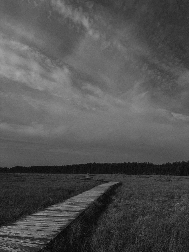 Photograph by Александра Кишикова