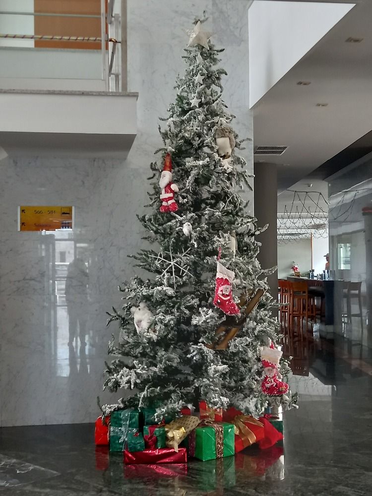 Фотография автора Nieves Gloria Alvarez Diaz