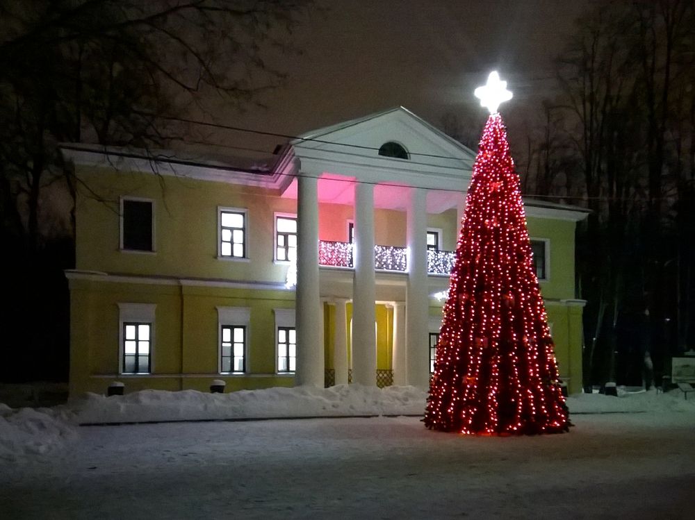 Ёлочка, гори!