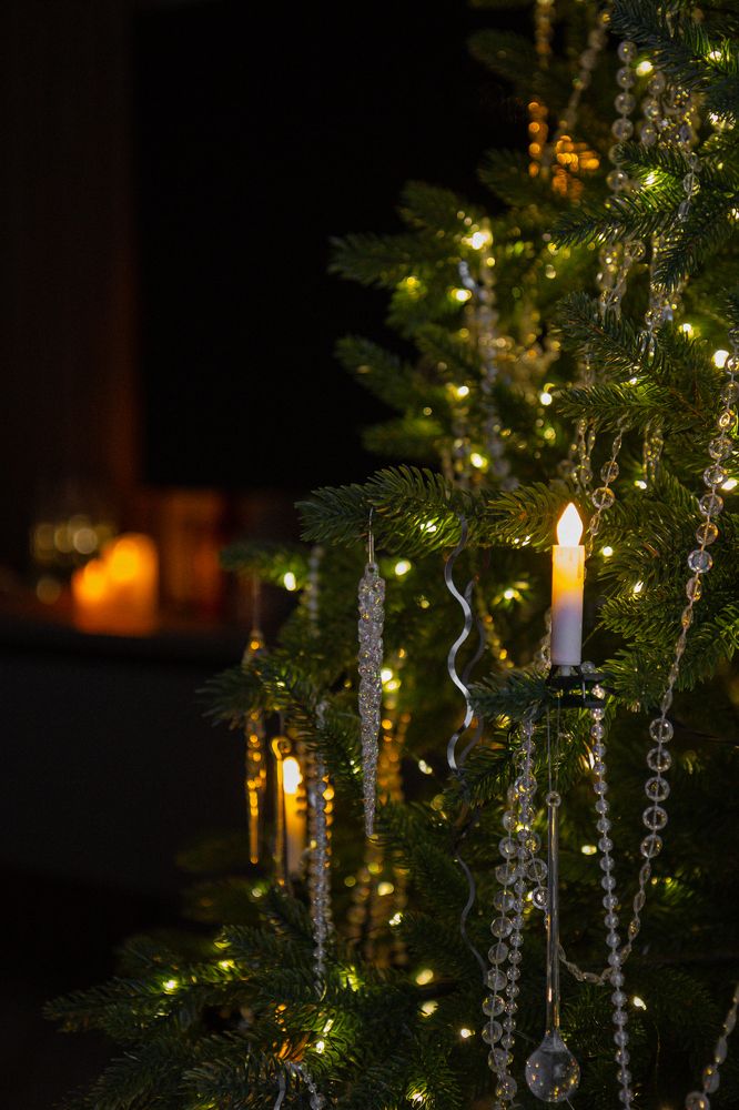 Photograph by Irina Chka