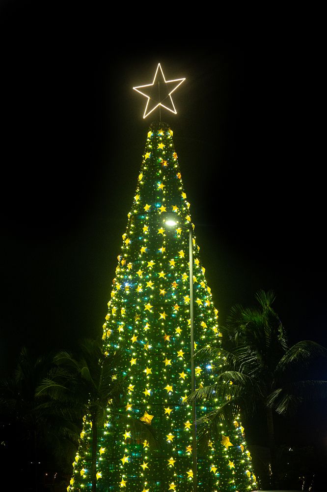 Фотография автора Laddu Sasindu Pramuditha De Silva