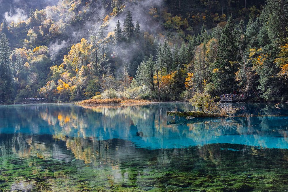 Photograph by Марина Маликова