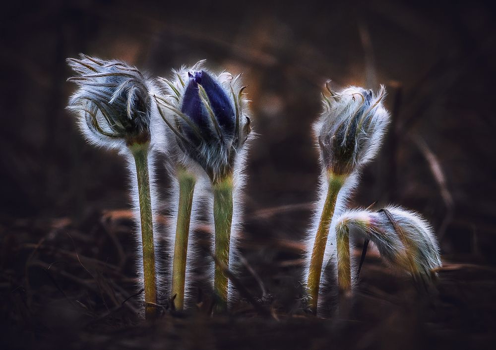 Photograph by Ткачёв Владимир