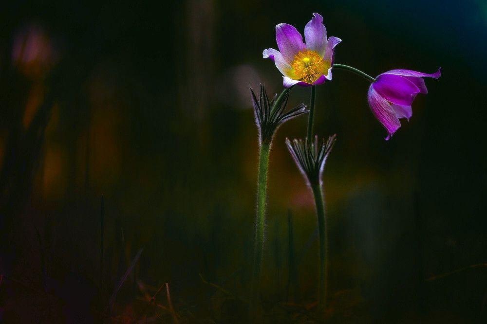 Photograph by Ткачёв Владимир