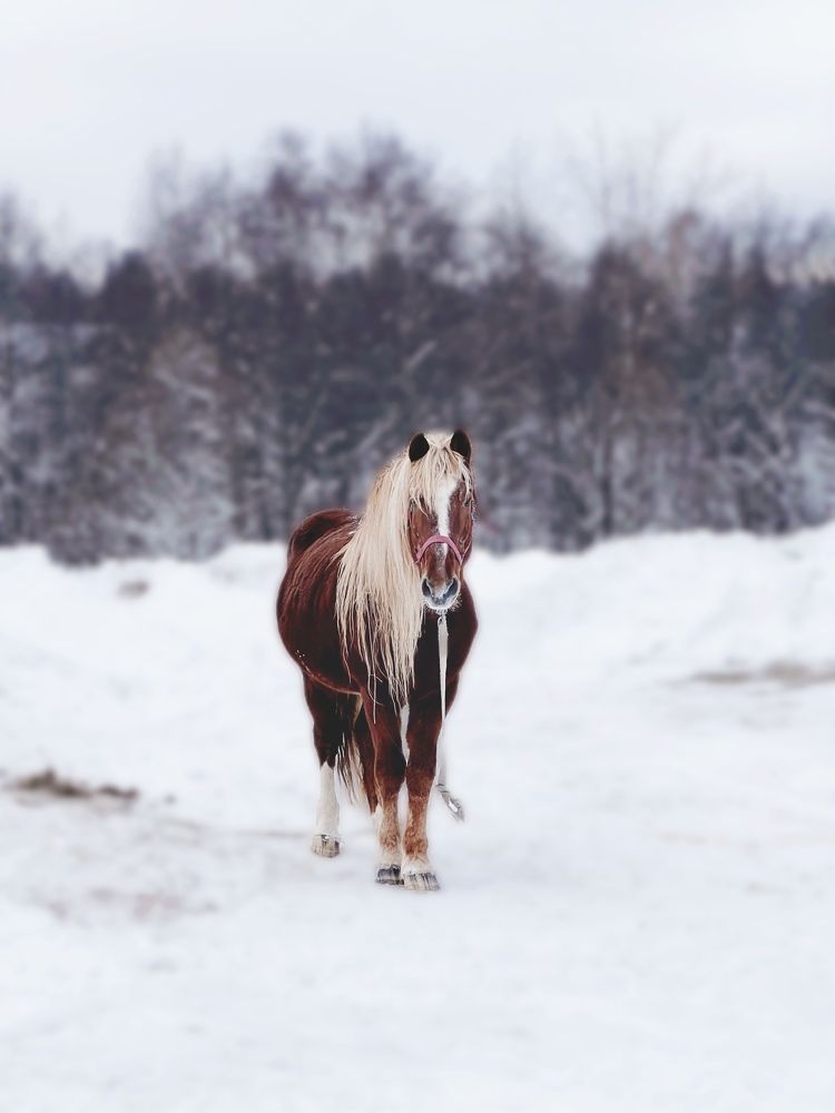 Photograph by Татьяна Михайловна