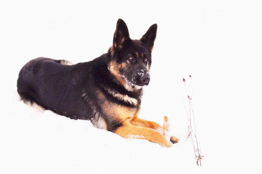 Photograph by Татьяна Михайловна