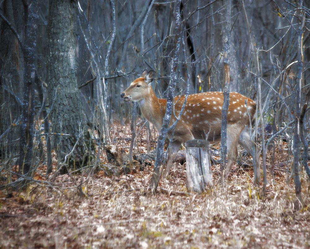Photograph by Ткачёв Владимир