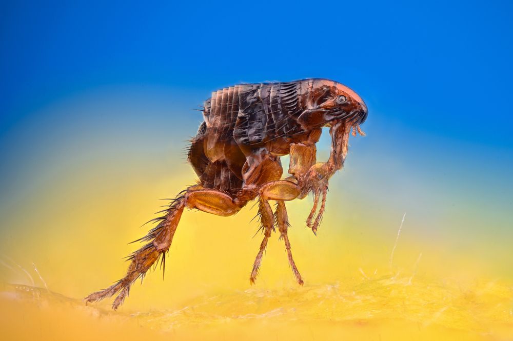 Photograph by Цветан Ганев