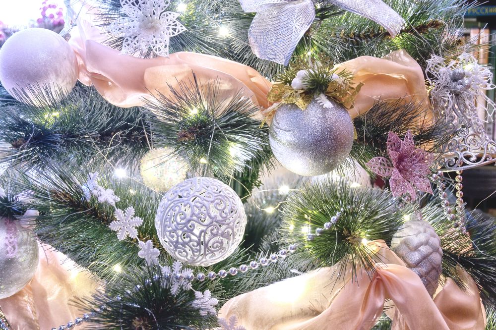 Фотография автора Юлия Кранина