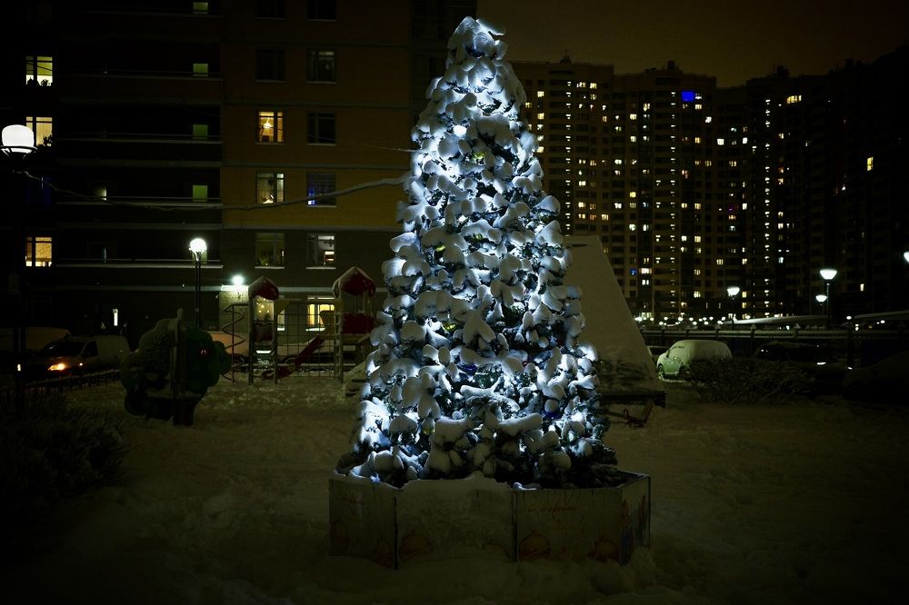 Photograph by Yana Egorova