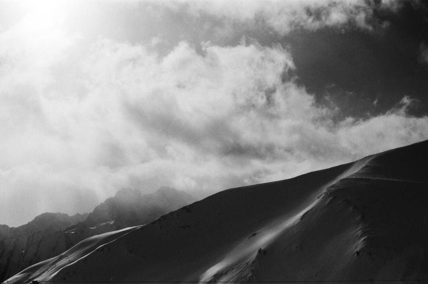 Photo #11557795