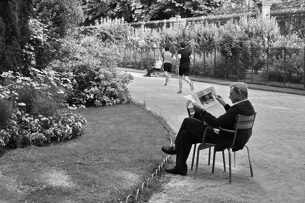 Утро в Люксембургском саду.