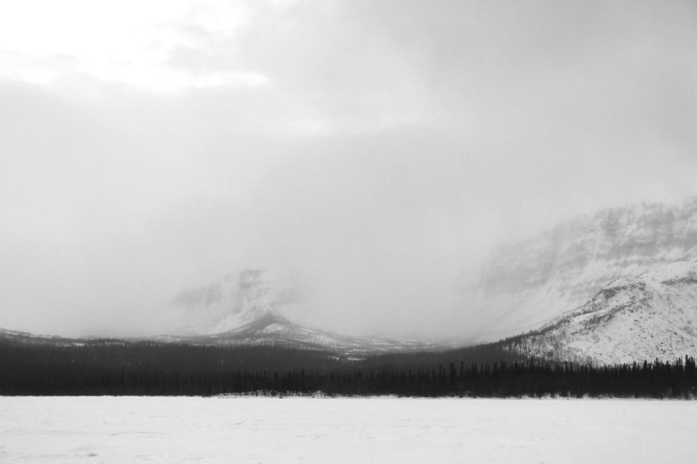 Photograph by Полина Зайцева