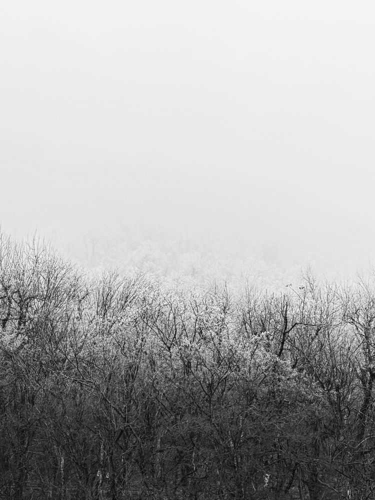 Photograph by Юлия