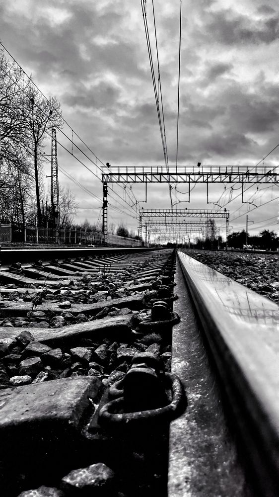 Photograph by Светлана Родионова