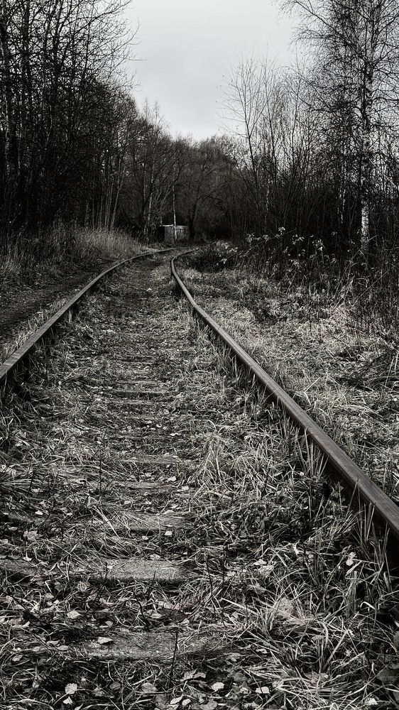 Photograph by Светлана Родионова