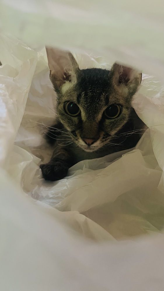 Photograph by Светлана Родионова