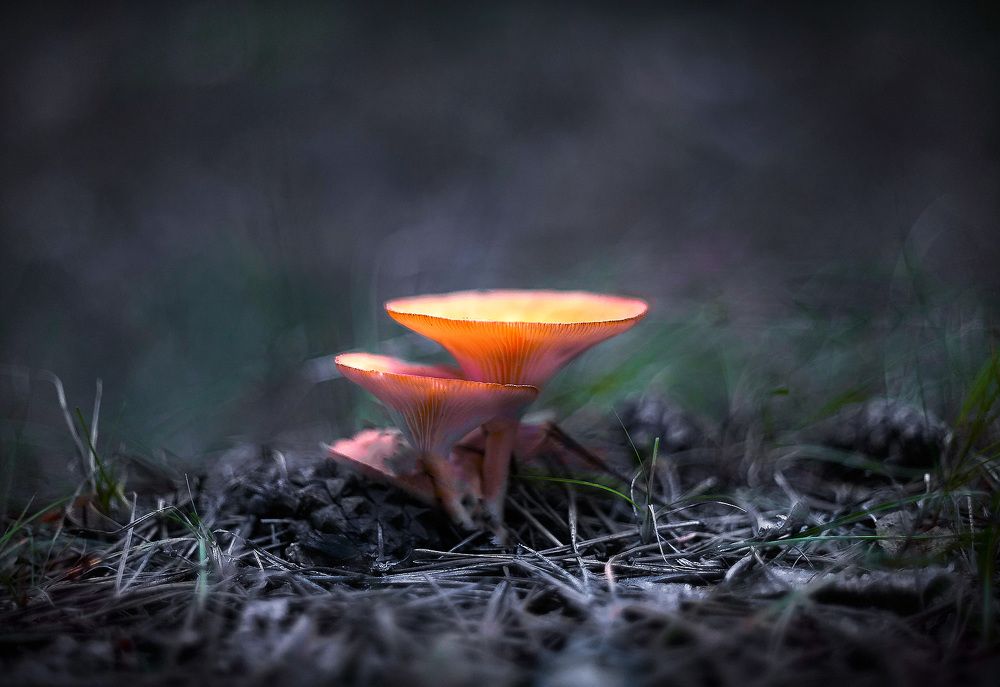 Photograph by Ткачёв Владимир