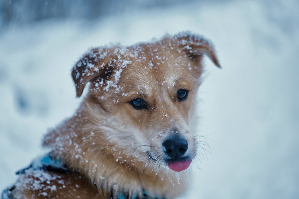 Photograph by Yana Egorova