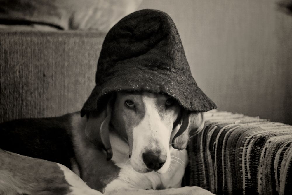 Photograph by Yana Egorova