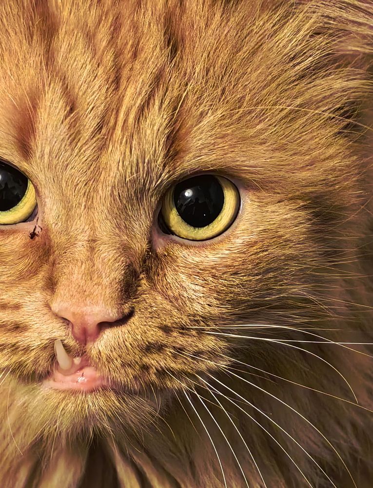 Photograph by Кристина Рыбина