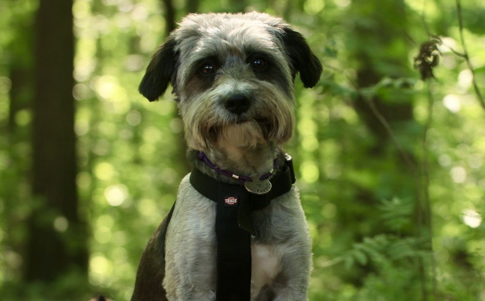 Photograph by Yana Egorova