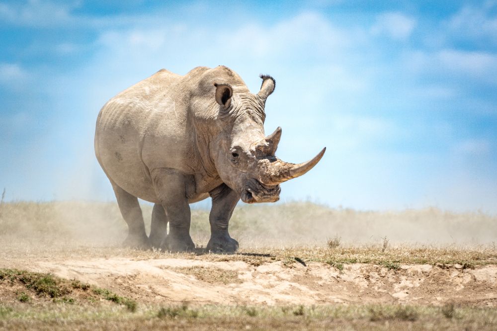 Фотография автора Дмитрий Николаев