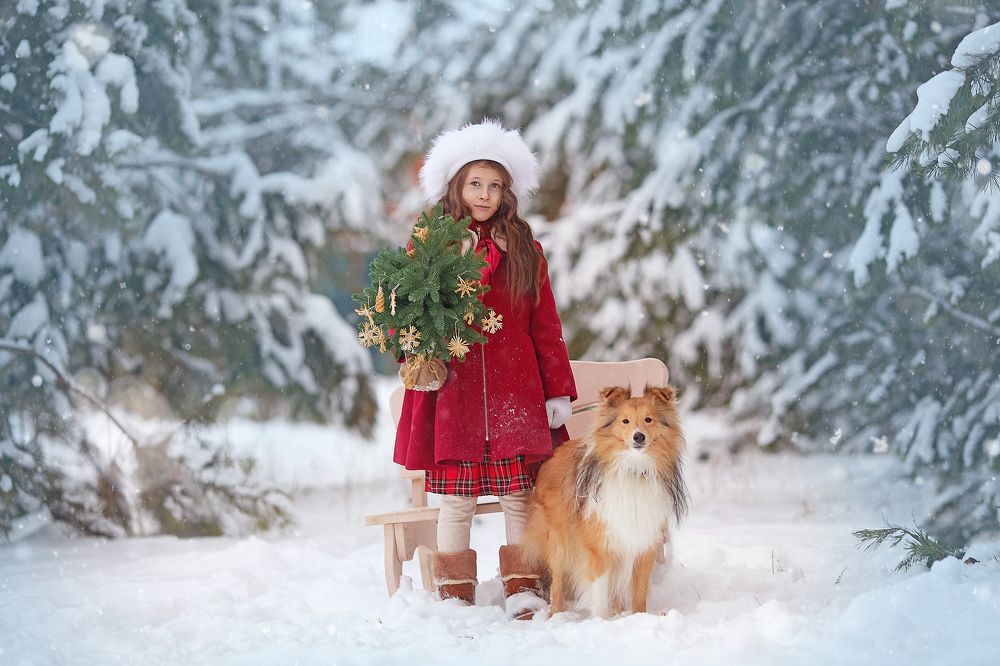 Photograph by Тамара Дмитриева