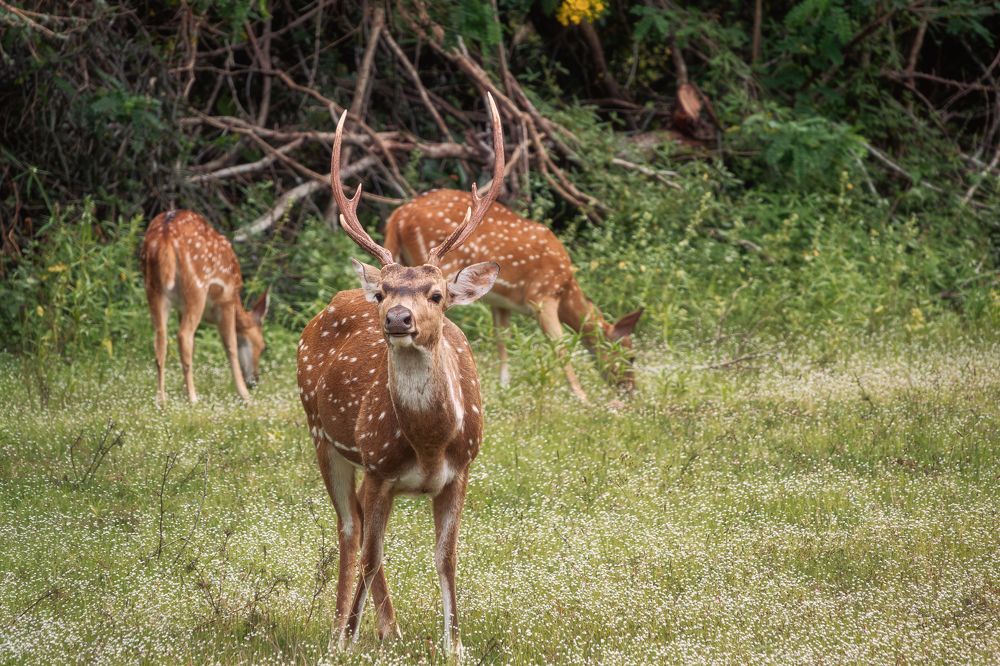 Photograph by Дудников Александр