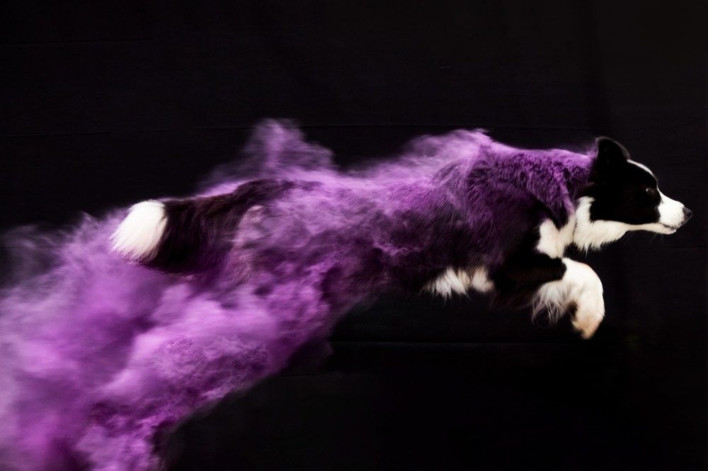 Photograph by Natalya Gracheva