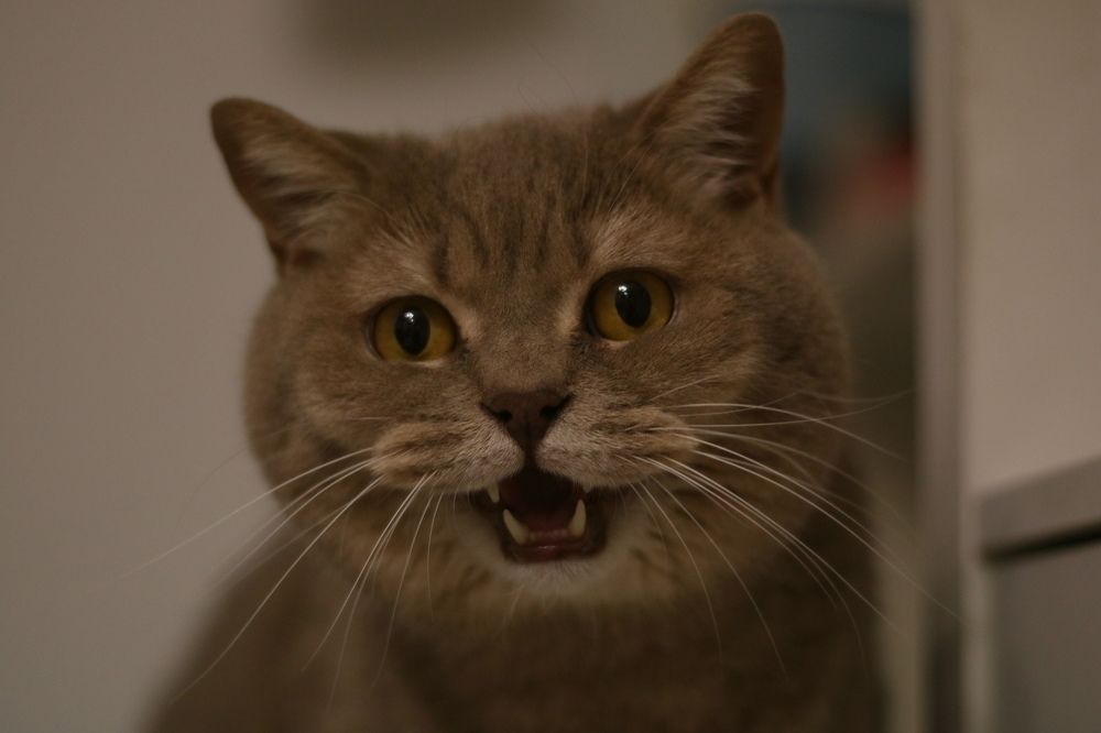 Photograph by Yana Egorova