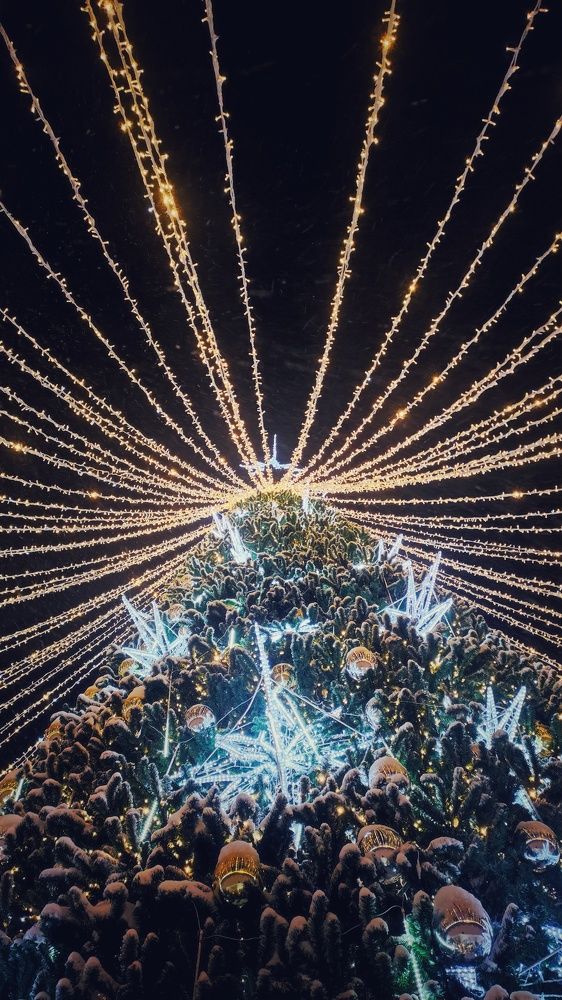 Photograph by Калюнова Наталья