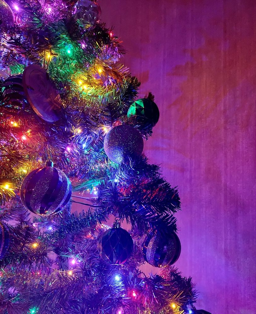 Фотография автора Adriana Rocha