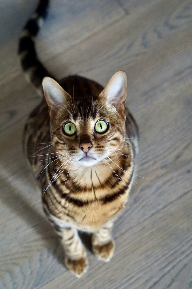 Фотография автора Liudmila Kiermeier