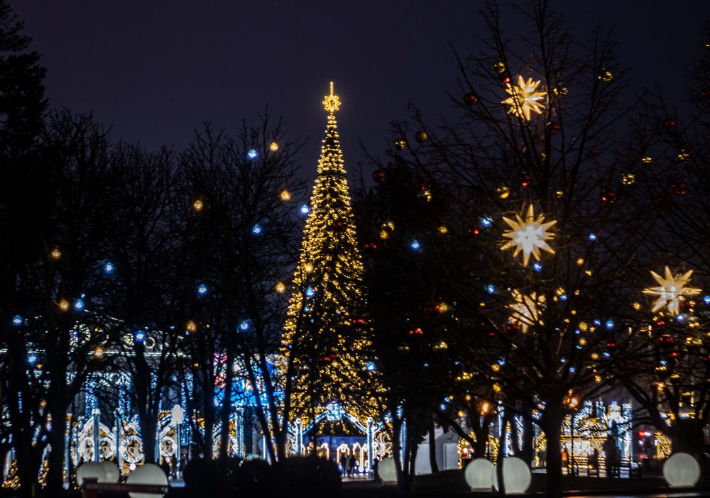 Photograph by Дмитрий Давидов