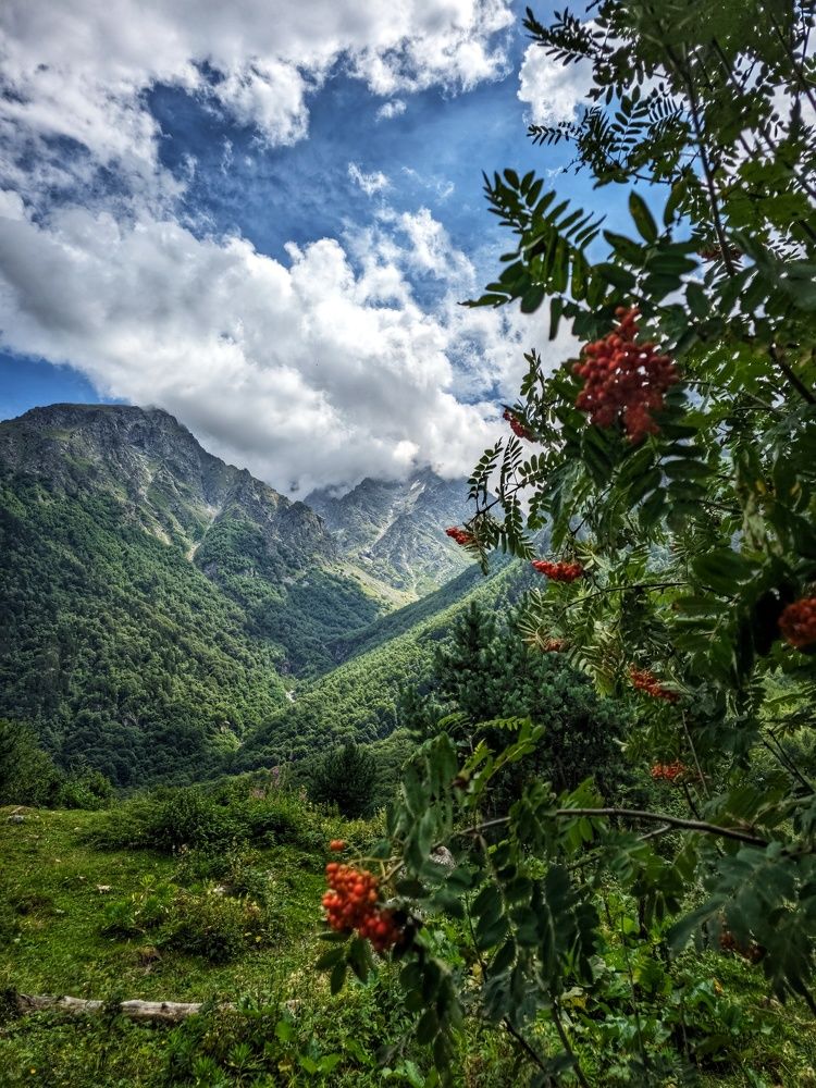 Photograph by Natali AB