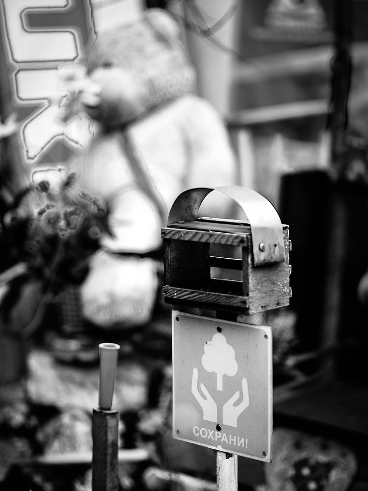 Фотография автора Елена Чиликина