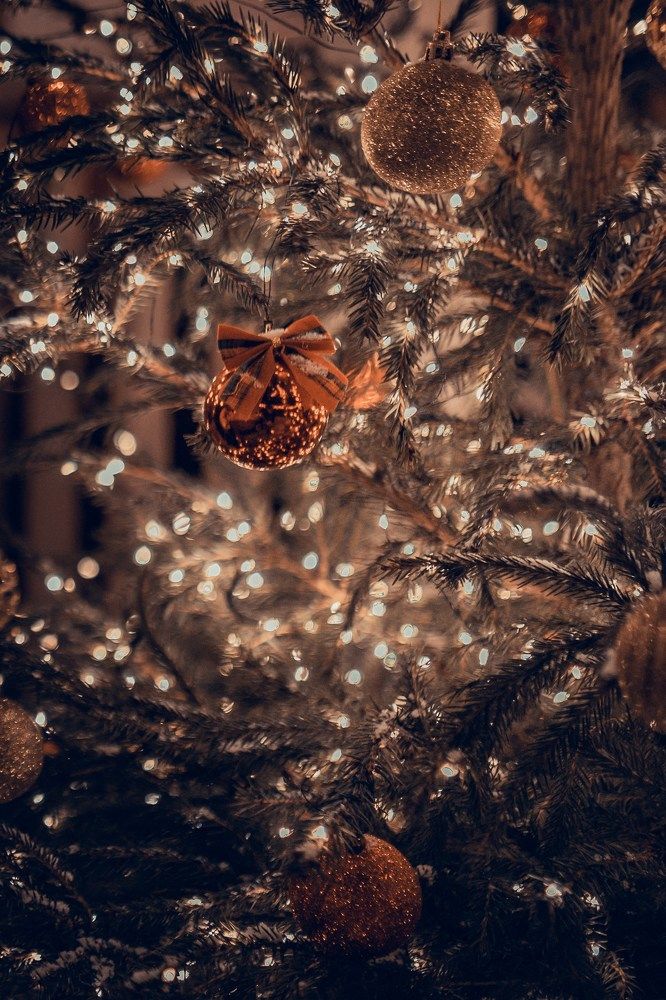 Photograph by Елизавета Федорова