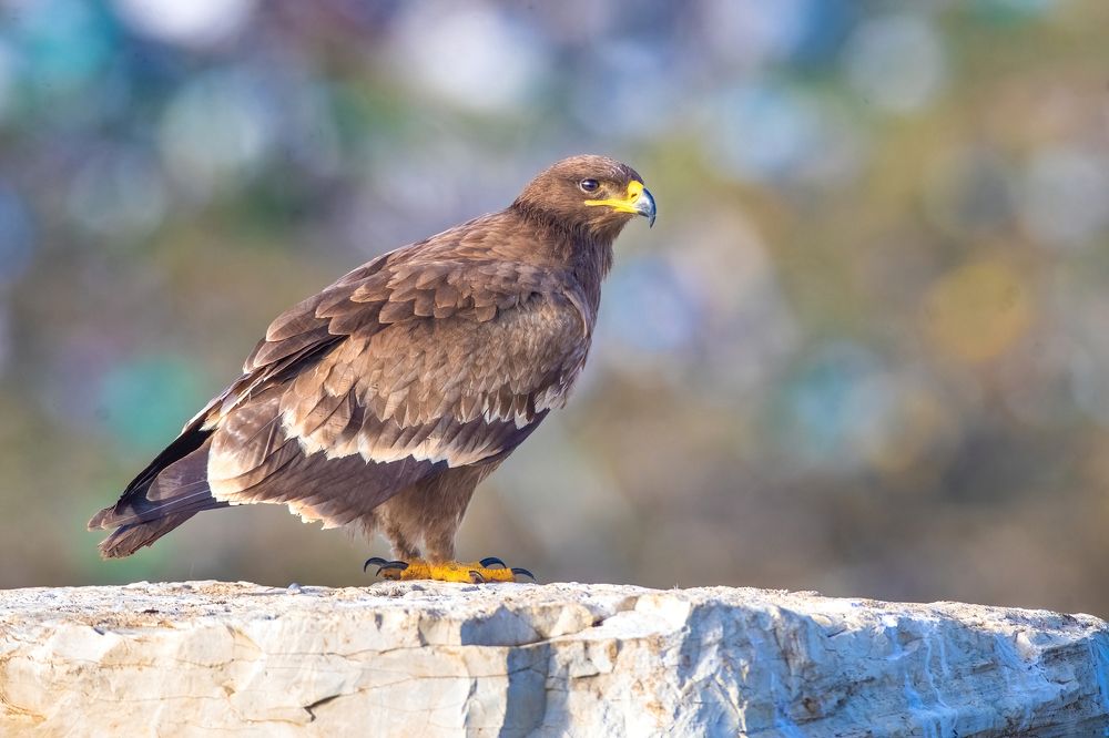 Photograph by Власов Егор