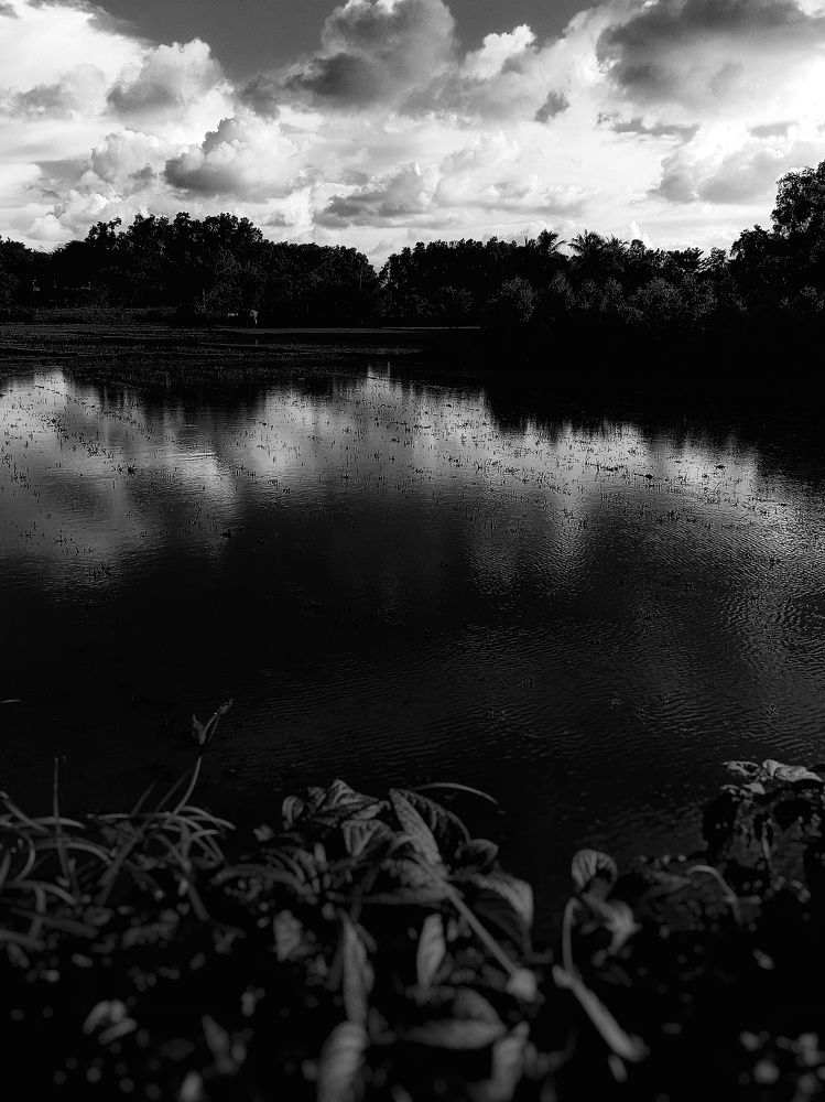 Photograph by Sudeshna Chanda