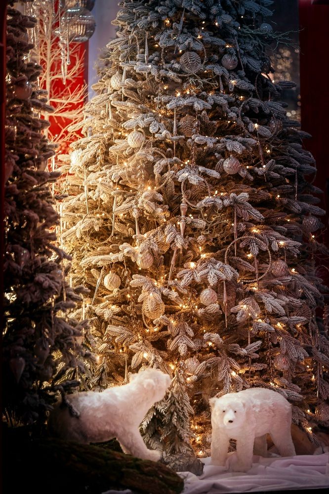 Photograph by Angelina Bukina