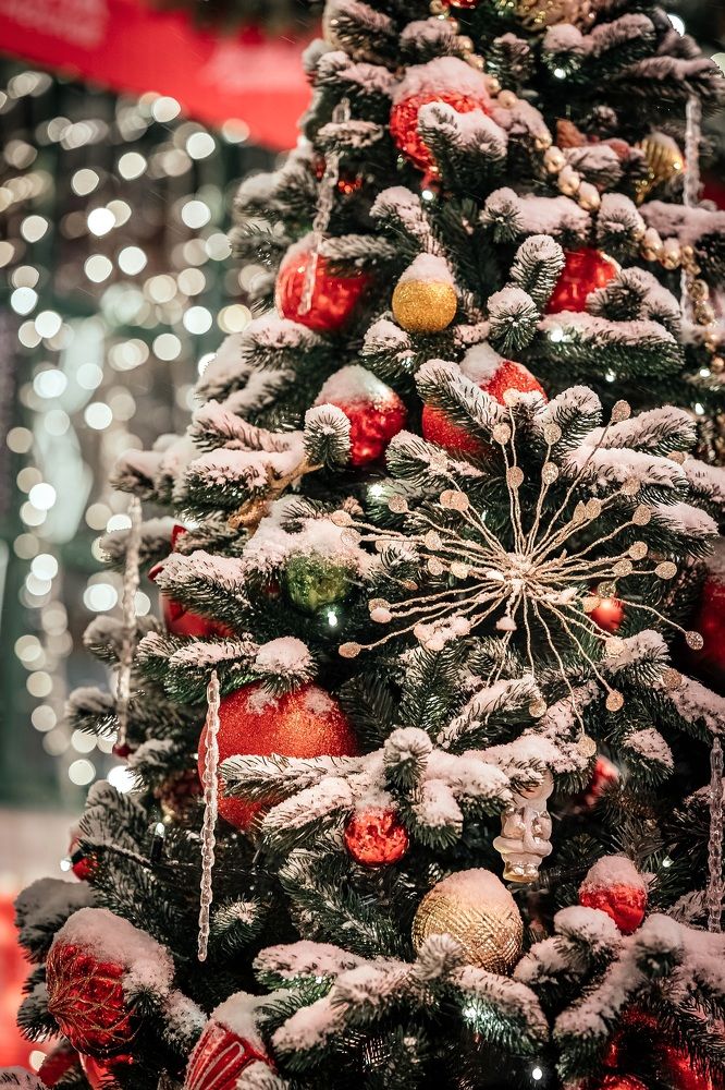 Photograph by Angelina Bukina