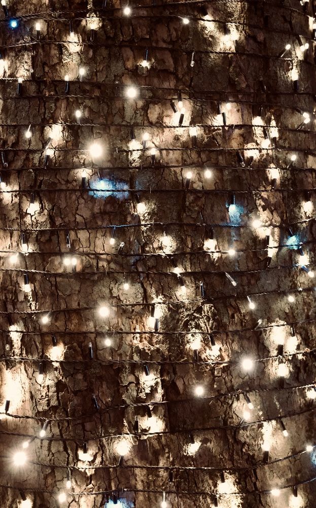 Фотография автора Борунов Константин