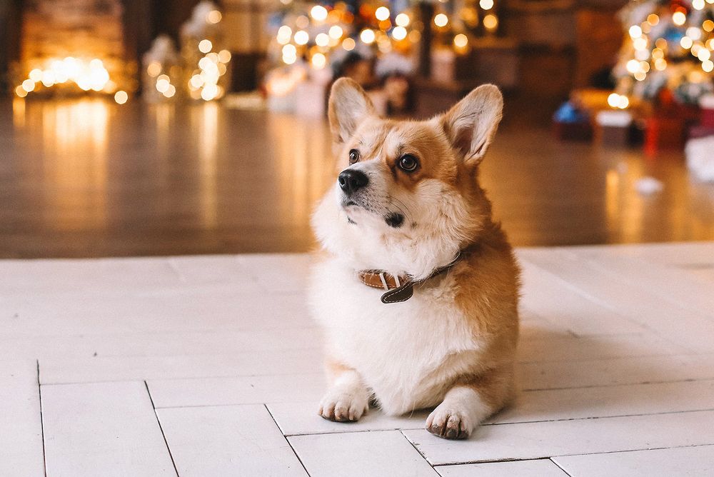 Фотография автора Наталия Евграфова