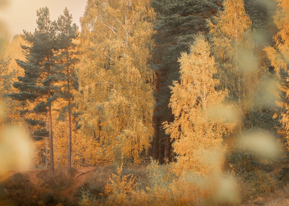 Photograph by Тамара Вотинцева